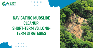 Navigating Mudslide Cleanup: Short-Term vs. Long-Term Strategies