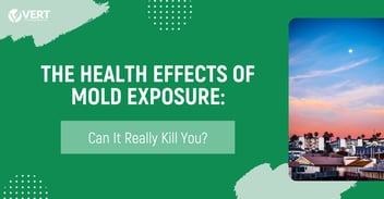 The Health Effects of Mold Exposure