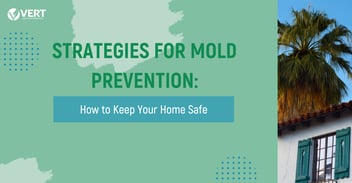 Strategies for Mold Prevention