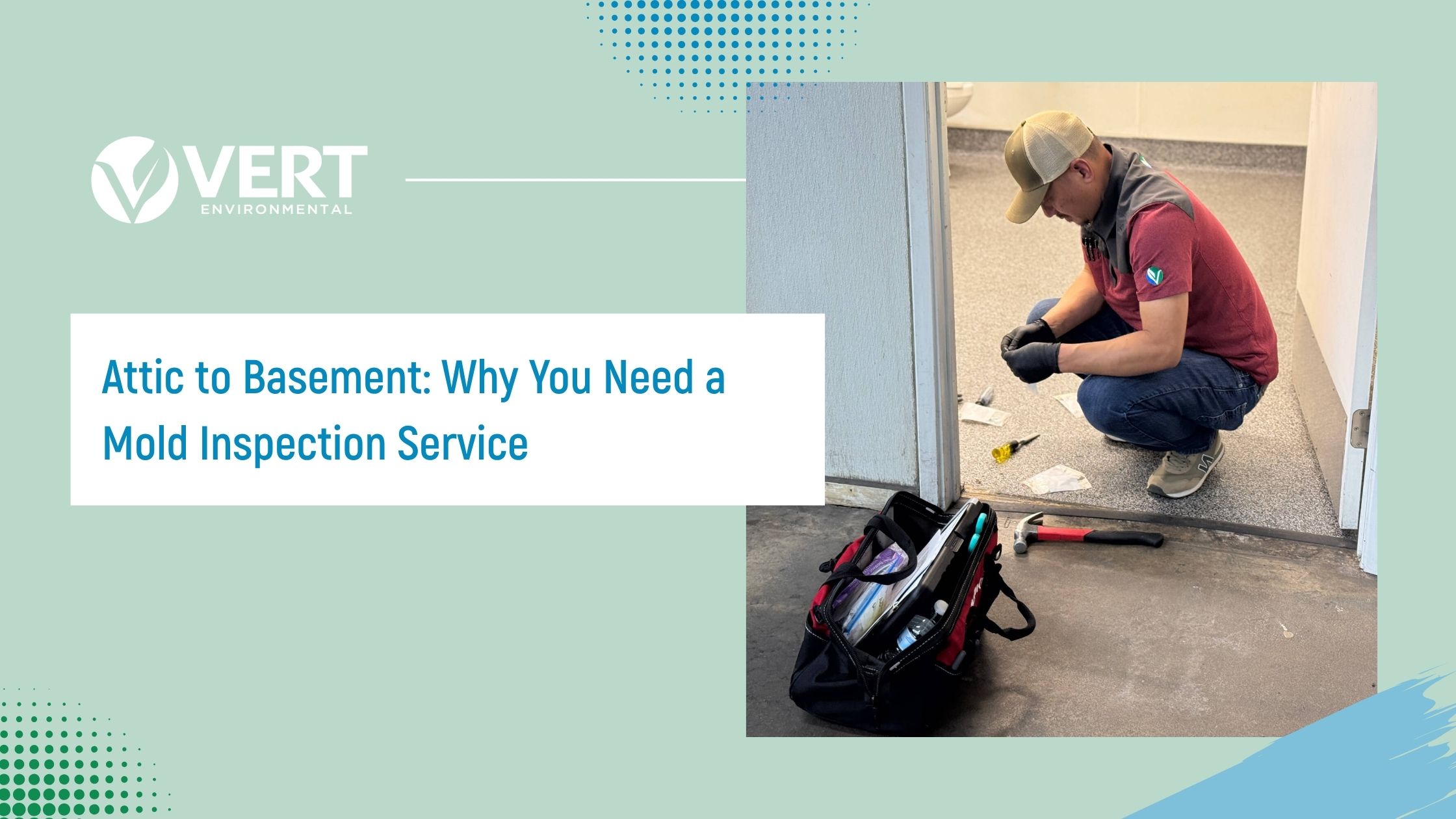 mold inspection service